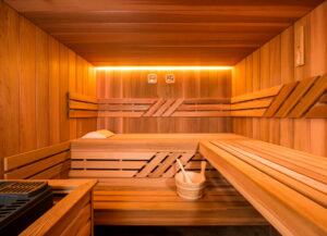 Sauna traditionnel alpha industries